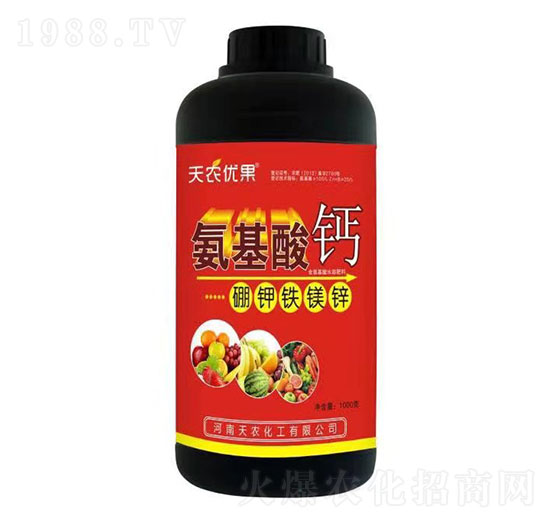 �������}-����F�V�\-���r(n��ng)��(y��u)��-���r(n��ng)����