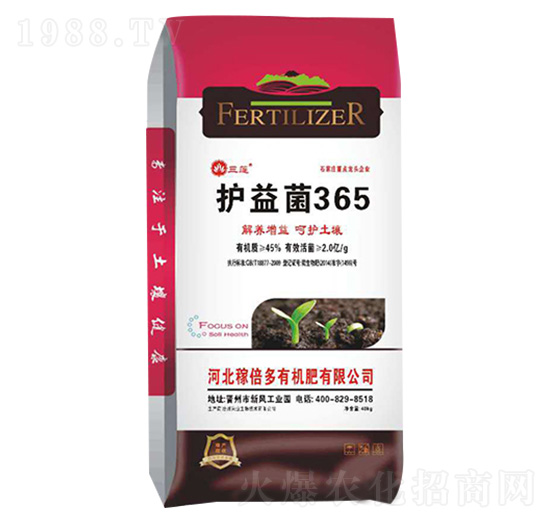 �o���365-��ɏ-�ڱ���