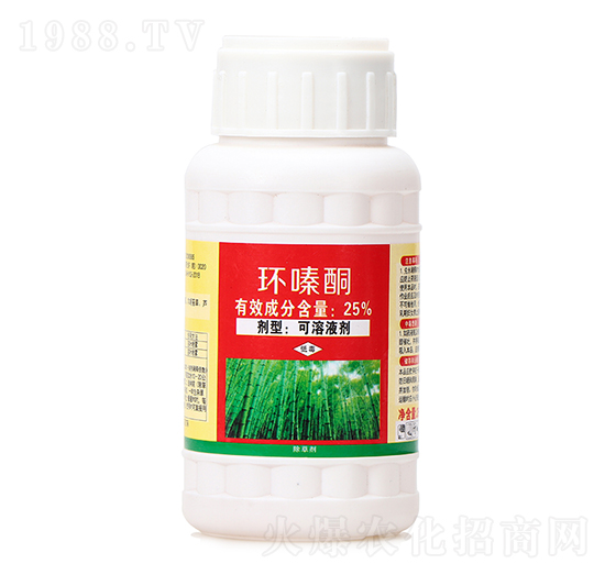 25%�h(hu��n)�ͪ��250�ˣ�-�s���-ϲ�S��