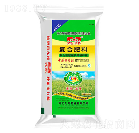 ��(f��)�Ϸ���24-10-11-�Ű�