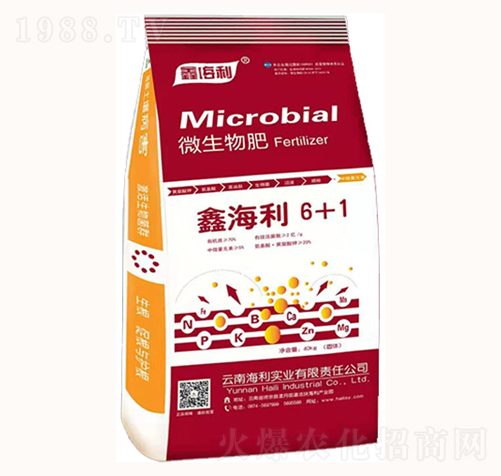 ΢�����-�κ���6+1-������(sh��)�I(y��)