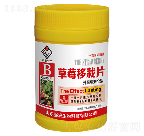 ��ݮ����Ƭ-���r(n��ng)����