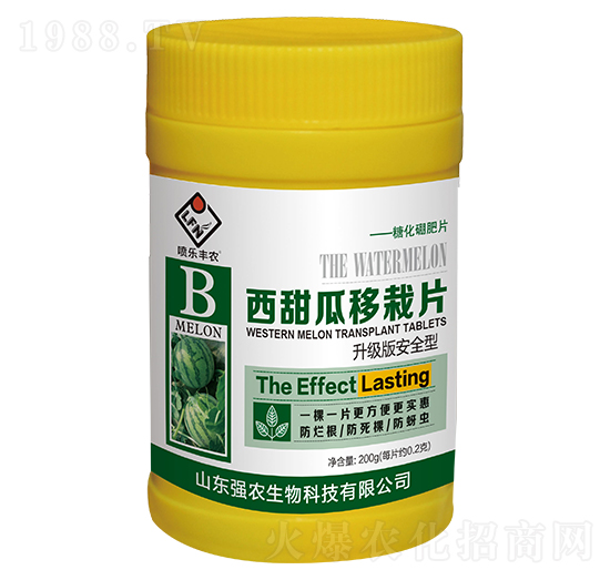 ���������Ƭ-��(qi��ng)�r(n��ng)����