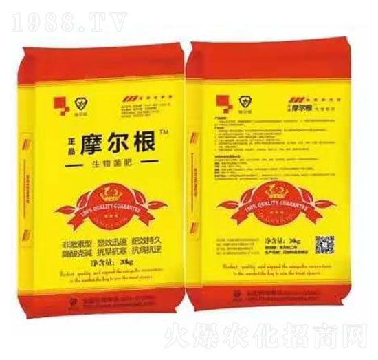 �������-Ħ����