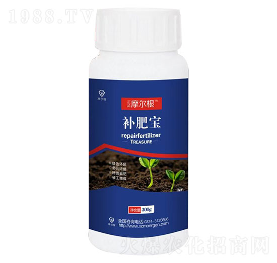 �a�ʌ�-Ħ����