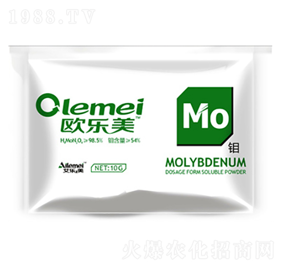 �W�����f��-������