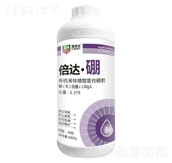 1000g���_����-���_