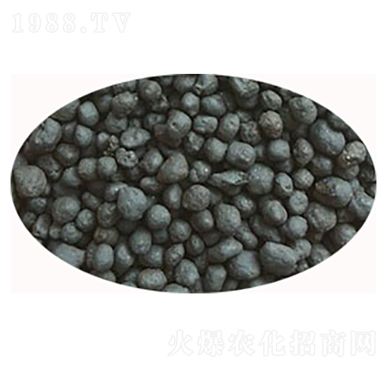 ���{�����ЙC��-���S����