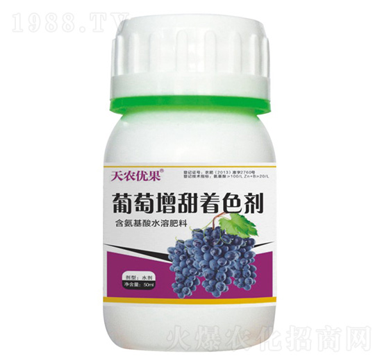 ����������ɫ��-���r��(y��u)��-���r����