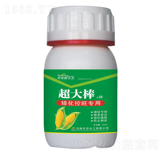 �����-���r(n��ng)�ִ��-���r(n��ng)����