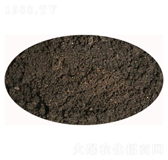 ʯ���f���u�S-���S����