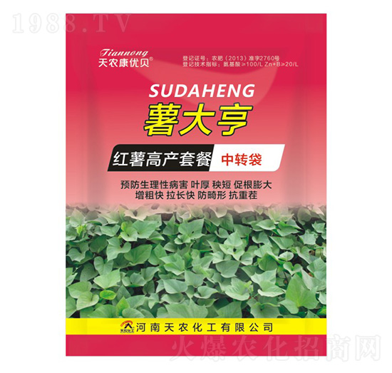 �t���߮a�ײ�-�����-���r����(y��u)ؐ-���r����