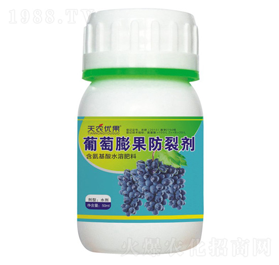 ����������ф�-���r(n��ng)��(y��u)��-���r(n��ng)����