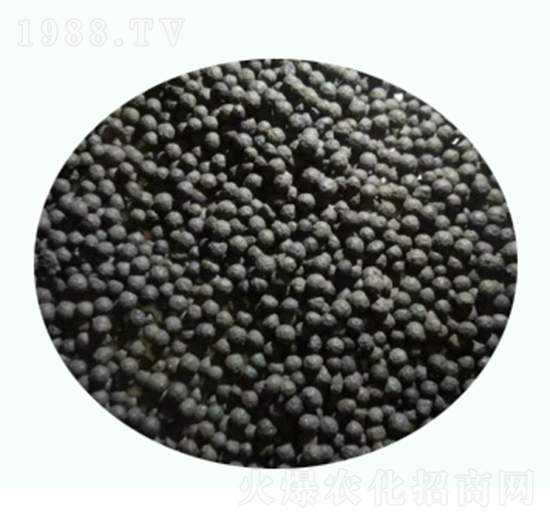 �����w��-�\�T�r�I(y��)