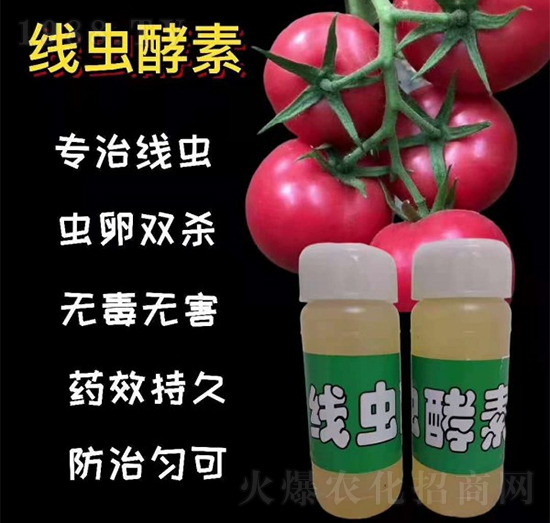 ���x����-�r(n��ng)���L-��S��