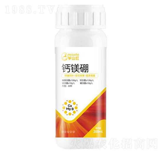 �}�V���~���-���p��