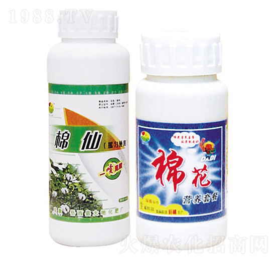 ���ɠI(y��ng)�B(y��ng)�ײ�-��ػ���