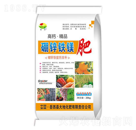 ���}���\�F�V��-���(bi��o)-��ػ���