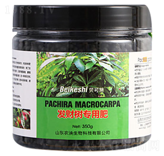 �l(f��)ؔ�䌣�÷���-ؐ��ʩ-�r(n��ng)������