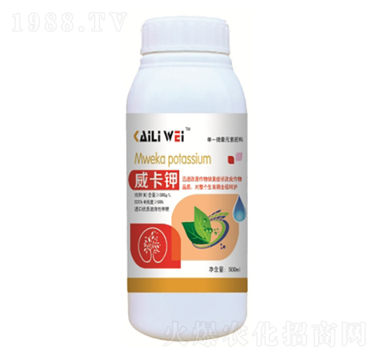 �����-�~������