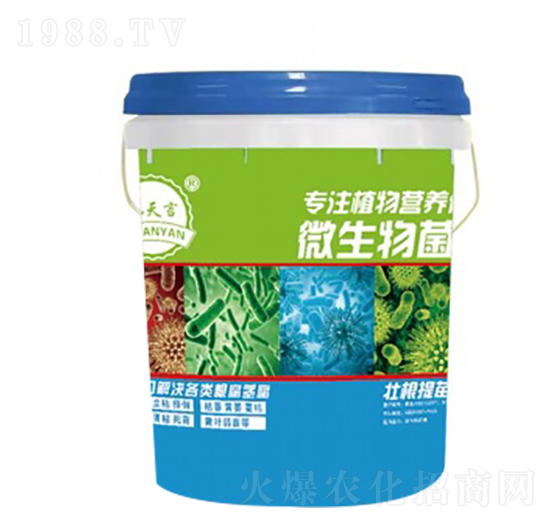 20kg΢�������-�����S