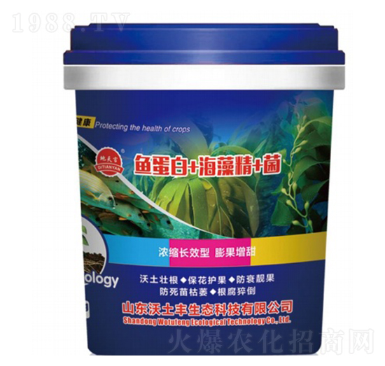 �~����+���徫+��-�����S