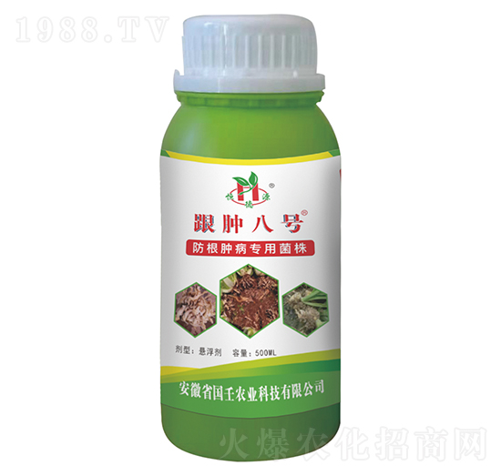 ���[��̖-��������