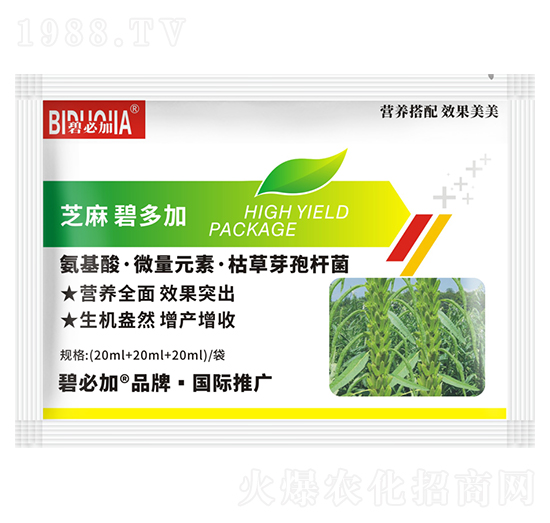 ֥��̶��-�κ�����