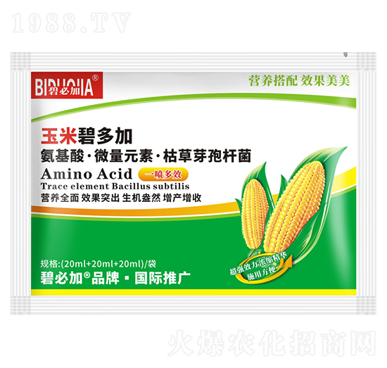 ���ױ̶��-�κ�����