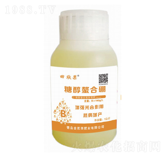 �Ǵ�������-������-�����