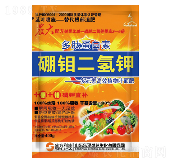 ���ĵ��������f�����-�t�f��