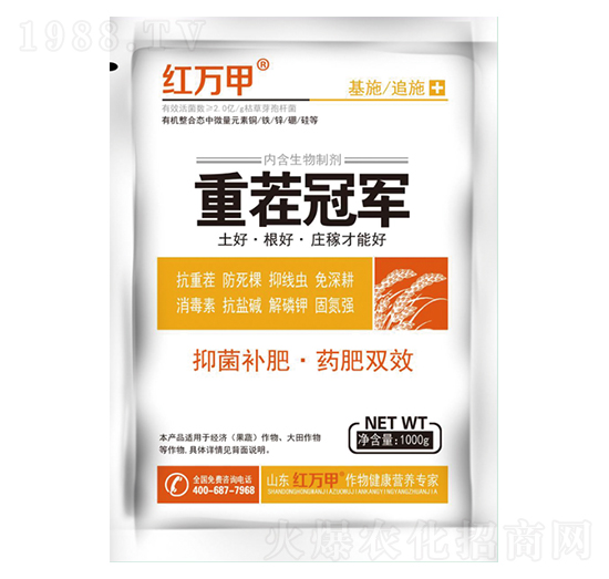 �ز�-�t�f��