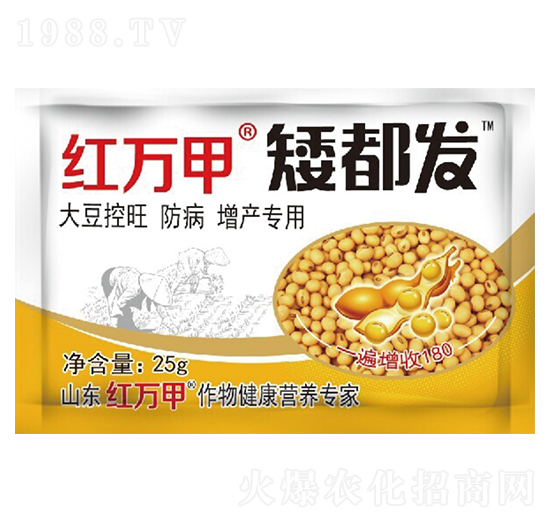 �����l(f��)-ˮ��С������-�t�f��