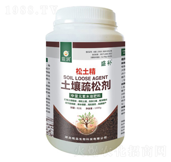 �������Ʉ�-������-ʢ�a-�Ʒ����