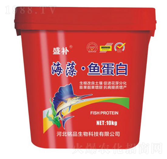 ���塤�~����-ʢ�a(b��)-�Ʒ����