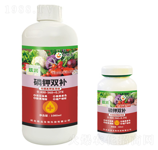 ����p�a(b��)-Ɲ��-�Ʒ����