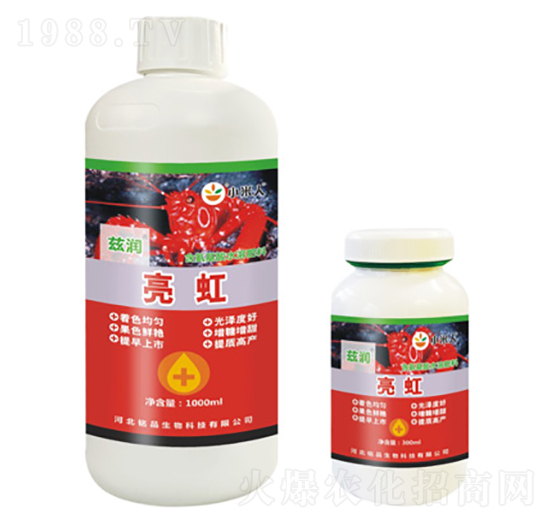 ����-Ɲ��-�Ʒ����