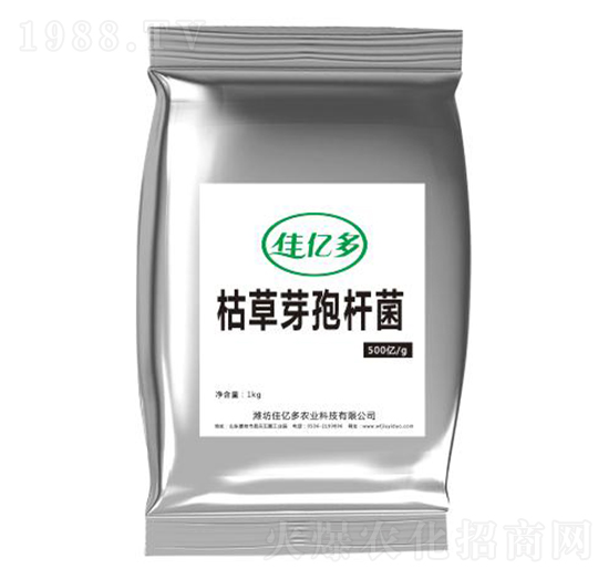 �ݲ�ѿ�ߗU��-�у|��