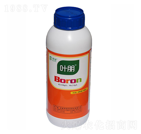 �ЙC���-�~��-ïʩ���B(t��i)��