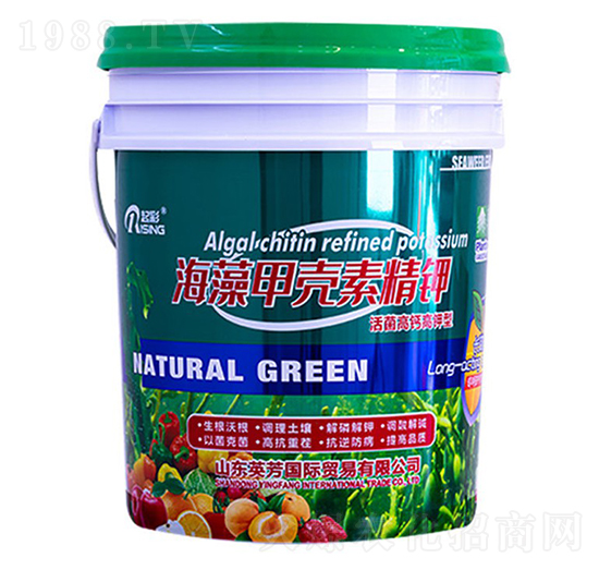 ����ך��ؾ��-���-Ӣ��