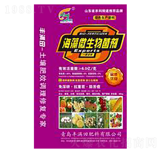 ����΢�������-�S�M��