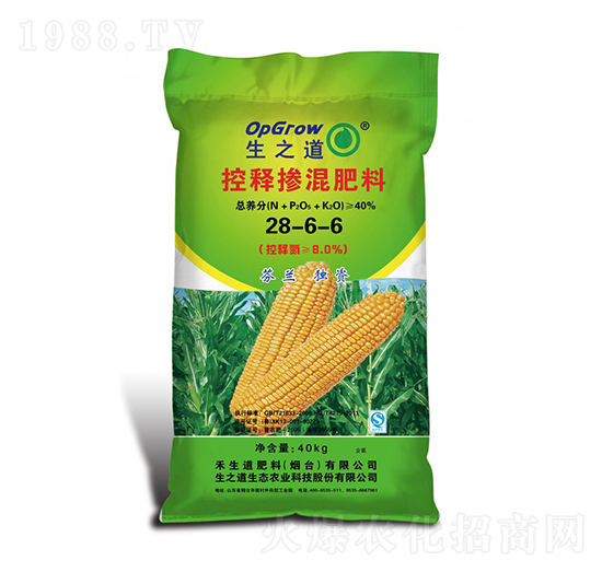 ��ጓ������28-6-6-��֮��