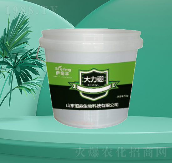 ������-�㶦����