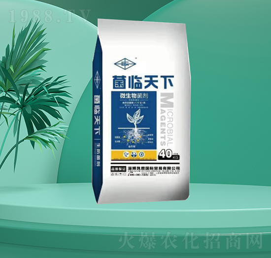 ΢�������-���R����-�㶦����