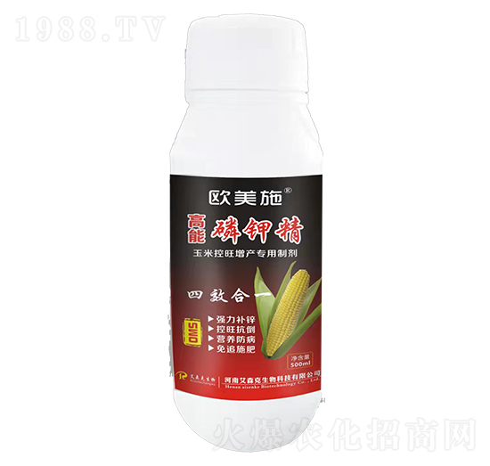 ������⛾�-�W��ʩ-��(��i)ɭ��