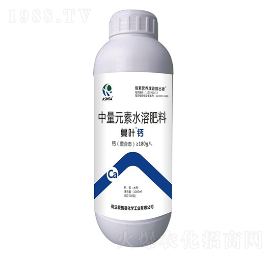 1000ml���~�}��-��ʩ��