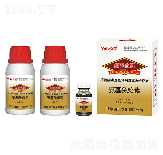 ����������-�������-�x���r��