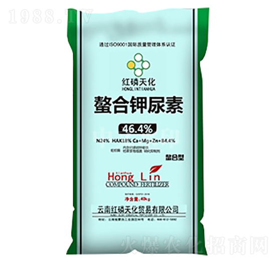 ���������-�t���컯-���r(n��ng)����