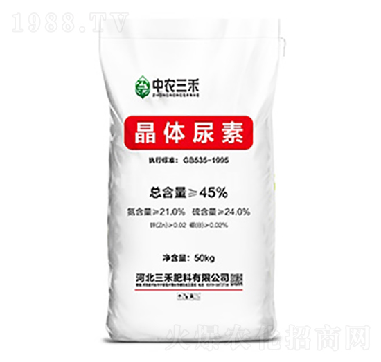 ���w����-���r����