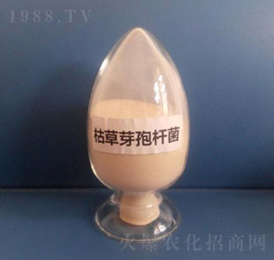 �ݲ�ѿ�ߗU�����ۄ���-��������